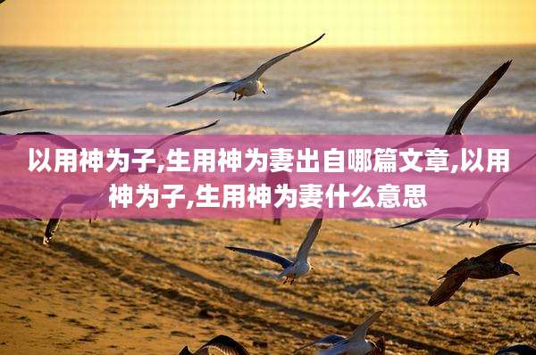 以用神为子,生用神为妻出自哪篇文章,以用神为子,生用神为妻什么意思
