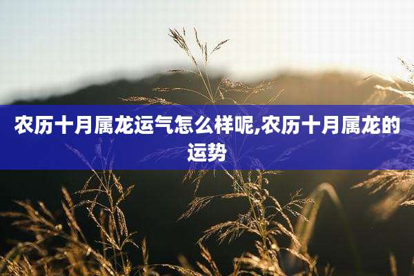 农历十月属龙运气怎么样呢,农历十月属龙的运势