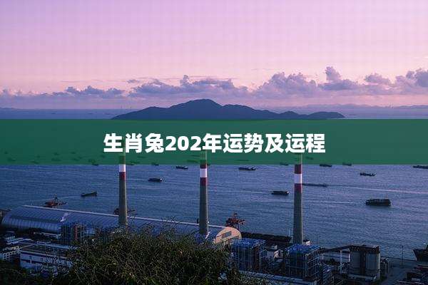 生肖兔202年运势及运程
