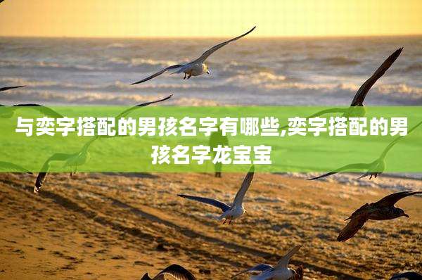 与奕字搭配的男孩名字有哪些,奕字搭配的男孩名字龙宝宝