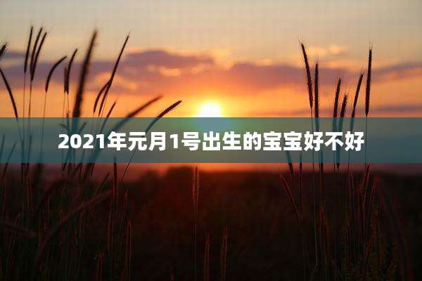 2021年元月1号出生的宝宝好不好