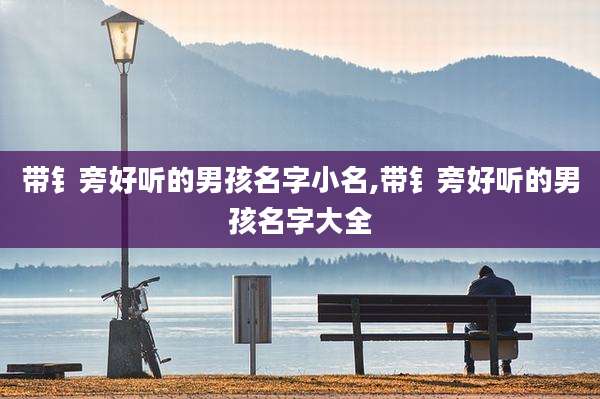 带钅旁好听的男孩名字小名,带钅旁好听的男孩名字大全