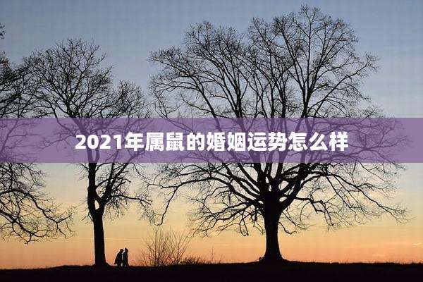 2021年属鼠的婚姻运势怎么样