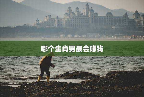 哪个生肖男最会赚钱