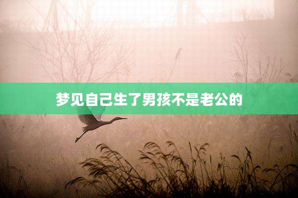 梦见自己生了男孩不是老公的