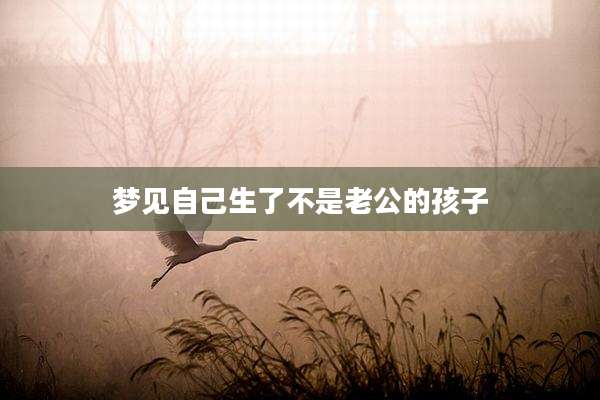 梦见自己生了不是老公的孩子
