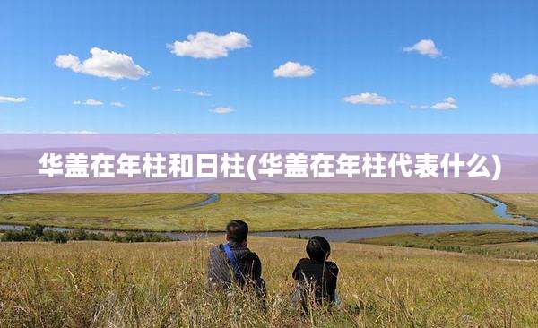 华盖在年柱和日柱(华盖在年柱代表什么)