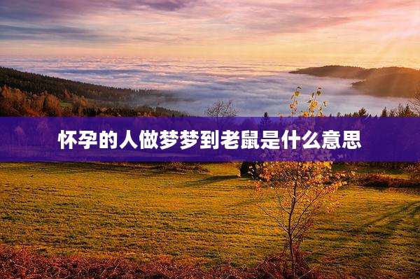 怀孕的人做梦梦到老鼠是什么意思