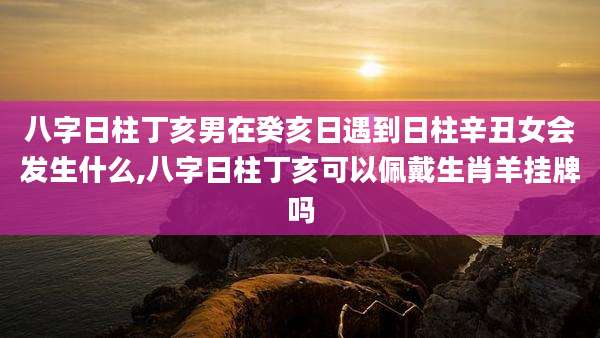 八字日柱丁亥男在癸亥日遇到日柱辛丑女会发生什么,八字日柱丁亥可以佩戴生肖羊挂牌吗