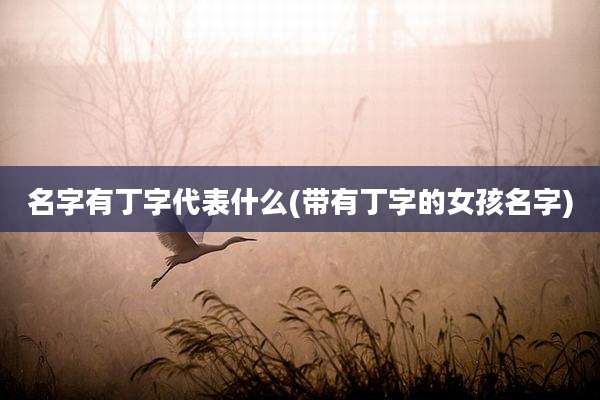 名字有丁字代表什么(带有丁字的女孩名字)