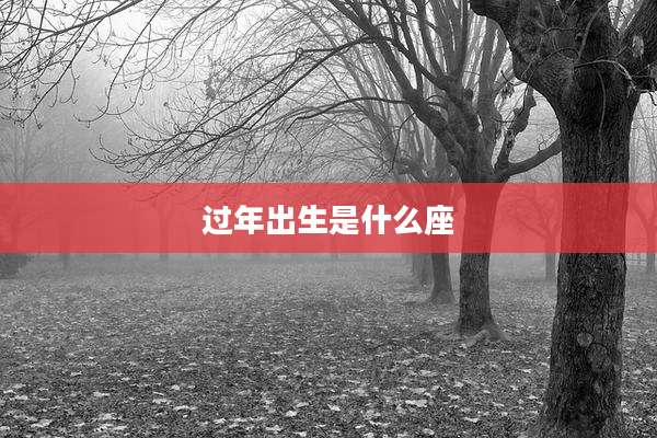 过年出生是什么座