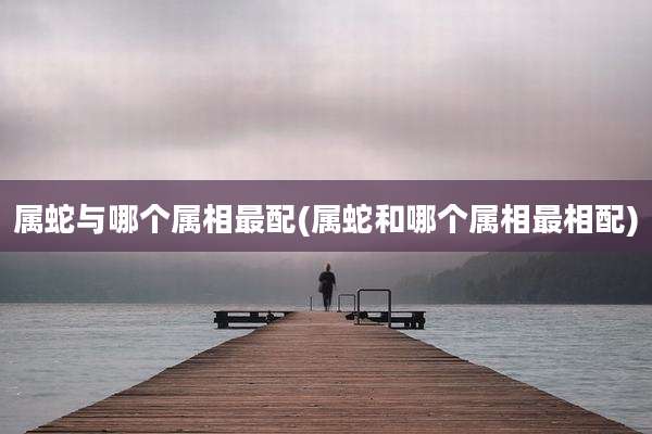 属蛇与哪个属相最配(属蛇和哪个属相最相配)
