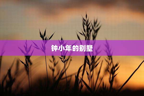 钟小年的别墅