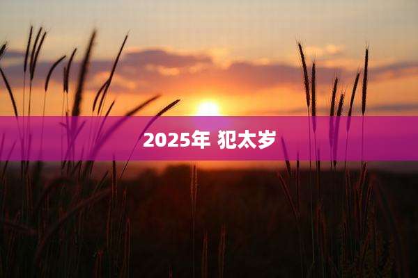 2025年 犯太岁