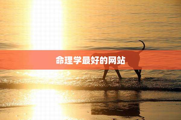 命理学最好的网站