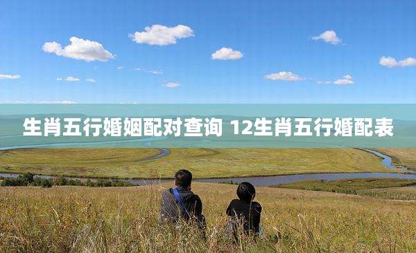 生肖五行婚姻配对查询 12生肖五行婚配表