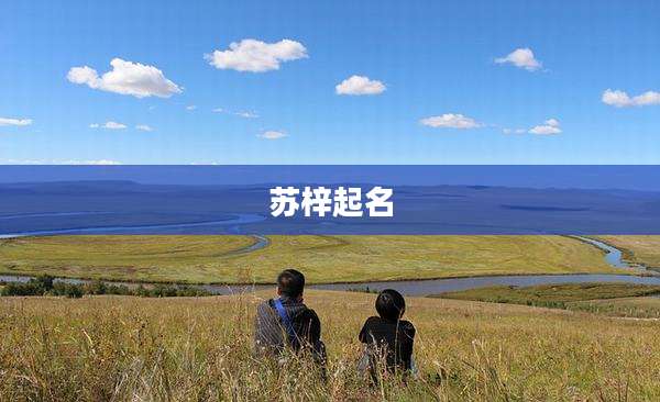 苏梓起名