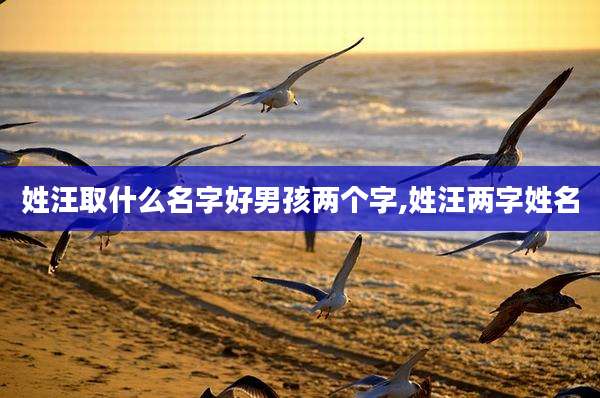 姓汪取什么名字好男孩两个字,姓汪两字姓名