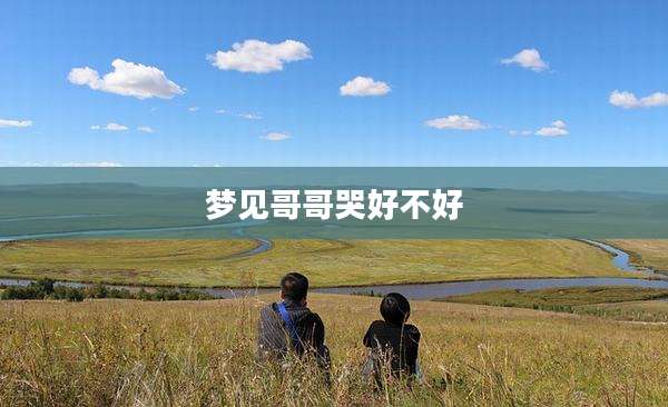 梦见哥哥哭好不好