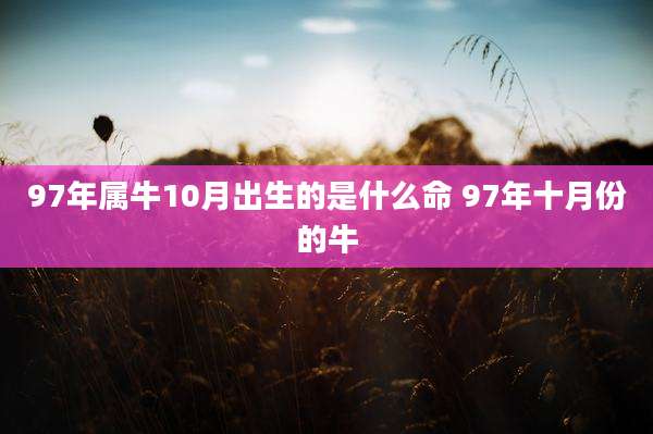 97年属牛10月出生的是什么命 97年十月份的牛