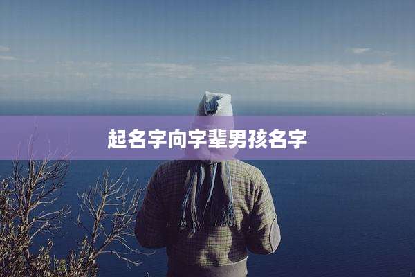 起名字向字辈男孩名字