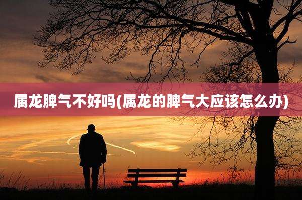 属龙脾气不好吗(属龙的脾气大应该怎么办)