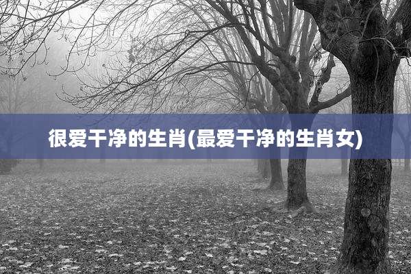 很爱干净的生肖(最爱干净的生肖女)