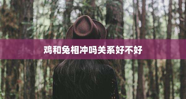 鸡和兔相冲吗关系好不好