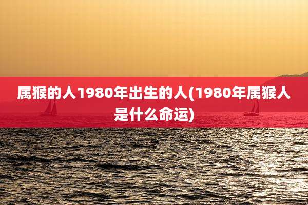 属猴的人1980年出生的人(1980年属猴人是什么命运)