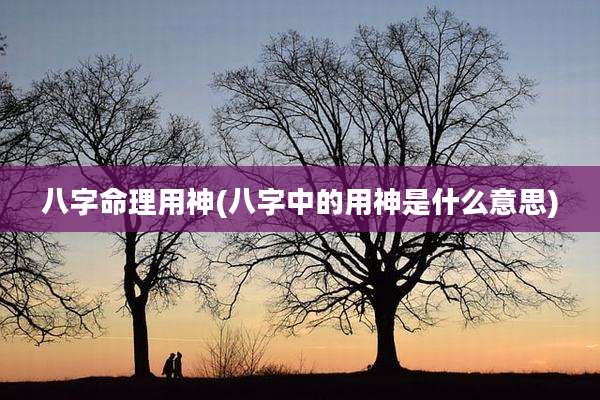 八字命理用神(八字中的用神是什么意思)