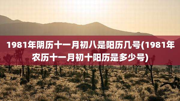 1981年阴历十一月初八是阳历几号(1981年农历十一月初十阳历是多少号)