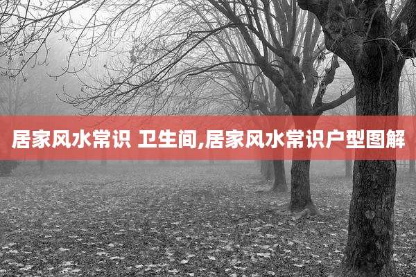 居家风水常识 卫生间,居家风水常识户型图解