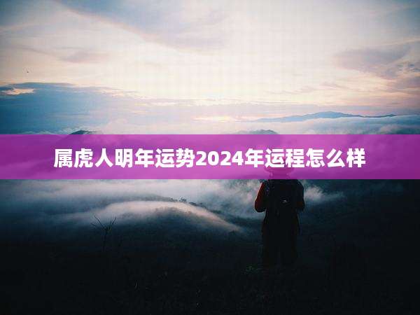 属虎人明年运势2024年运程怎么样