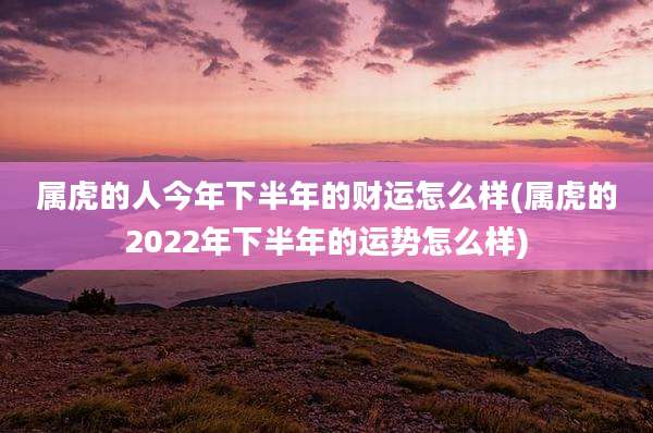 属虎的人今年下半年的财运怎么样(属虎的2022年下半年的运势怎么样)