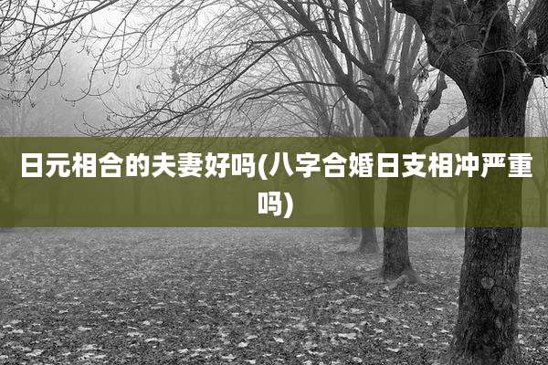 日元相合的夫妻好吗(八字合婚日支相冲严重吗)