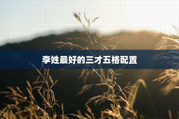 李姓最好的三才五格配置