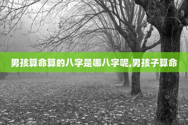 男孩算命算的八字是哪八字呢,男孩子算命