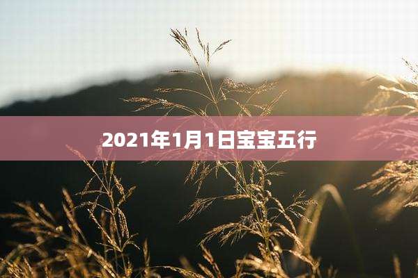 2021年1月1日宝宝五行