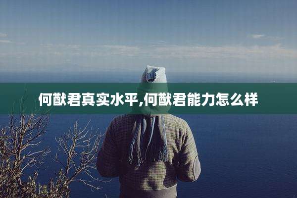 何猷君真实水平,何猷君能力怎么样