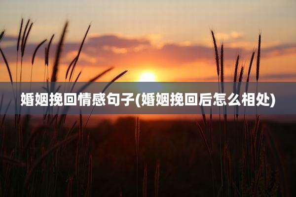婚姻挽回情感句子(婚姻挽回后怎么相处)