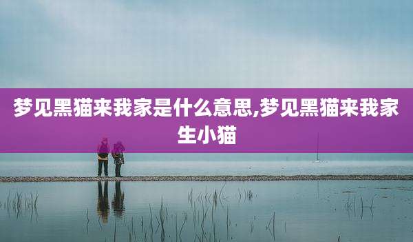 梦见黑猫来我家是什么意思,梦见黑猫来我家生小猫