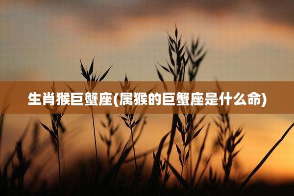 生肖猴巨蟹座(属猴的巨蟹座是什么命)