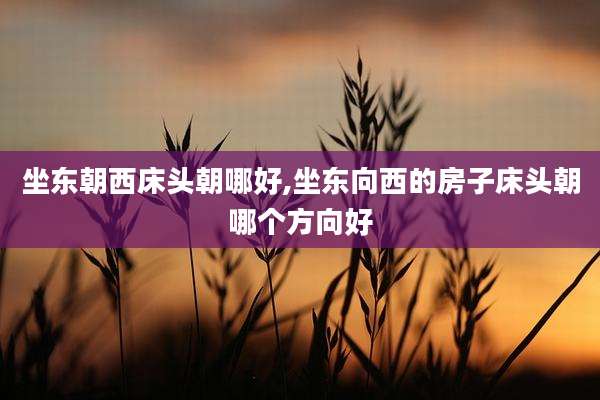坐东朝西床头朝哪好,坐东向西的房子床头朝哪个方向好
