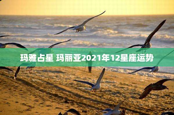 玛雅占星 玛丽亚2021年12星座运势