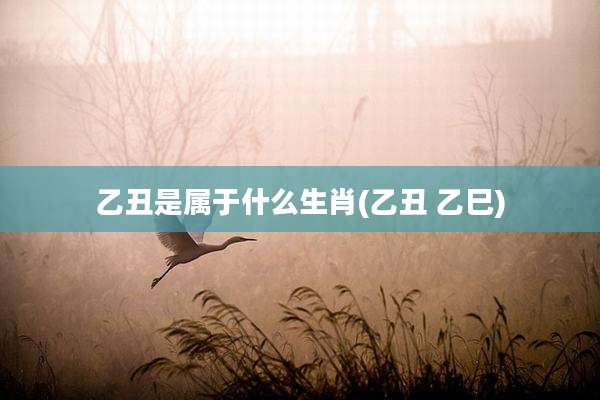 乙丑是属于什么生肖(乙丑 乙巳)