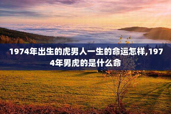 1974年出生的虎男人一生的命运怎样,1974年男虎的是什么命