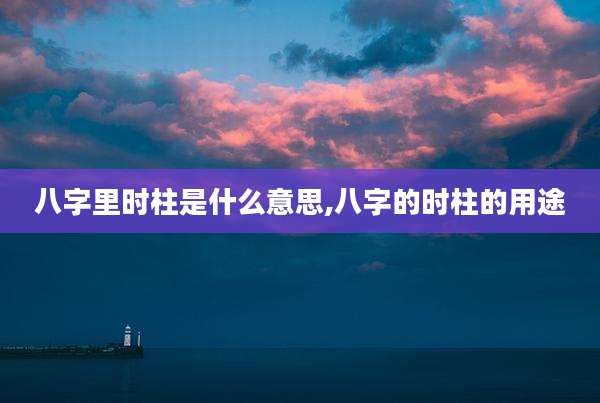 八字里时柱是什么意思,八字的时柱的用途