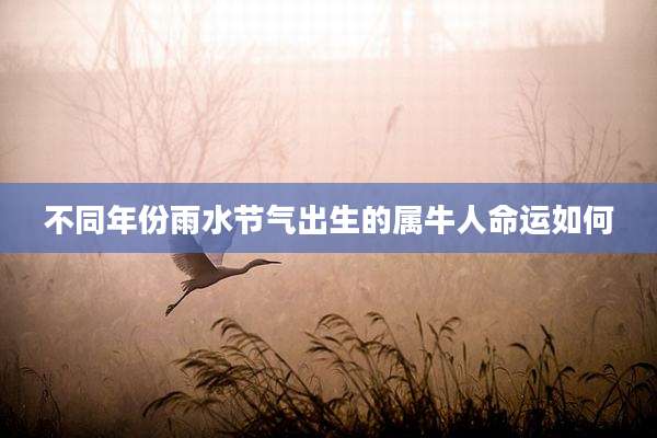 不同年份雨水节气出生的属牛人命运如何