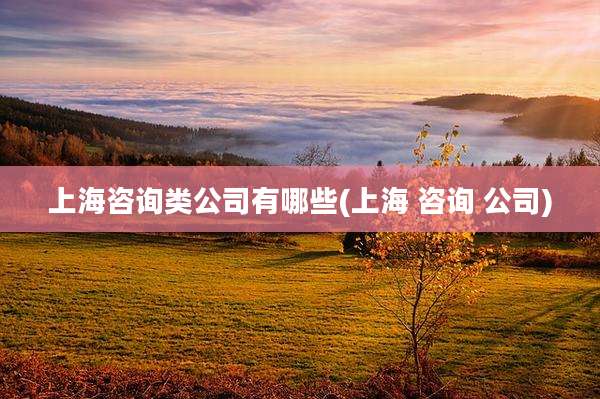 上海咨询类公司有哪些(上海 咨询 公司)