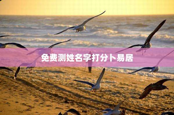 免费测姓名字打分卜易居